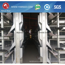 Poultry Feed Manufacturers H Type Layer Chicken Cage Farm Equipment